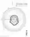 Fig. 07 - Bicycle rim