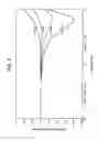 Fig. 04 - Attenuator