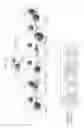 Fig. 26 - Apparatus and method of transmitting stereoscopic image data and apparatus and method of receiving stereoscopic image data