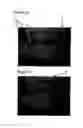 Fig. 02 - INSPECTION VIDEO RADIATION FILTER
