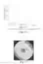 Fig. 09 - EMBEDDED STEREOSCOPIC 3D DISPLAY AND 2D DISPLAY FILM STACK