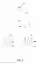 Fig. 04 - Surface enhanced ophthalmic lens