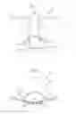 Fig. 06 - Lithographic apparatus and device manufacturing method