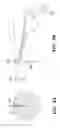 Fig. 07 - Ring grating spectrometer