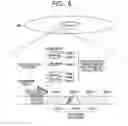Fig. 09 - Holographic memory device and reproduction/recording method