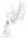 Fig. 02 - Linear Lighting System