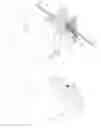 Fig. 06 - Illumination via flexible thin films