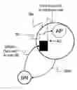 Fig. 01 - Method for controlling a flow in a packet switching network