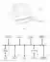 Fig. 02 - Feature intensity reconstruction of biological probe array