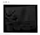 Fig. 07 - Image analysis apparatus, image analysis method, image analysis program and recording medium