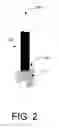 Fig. 03 - Tight-buffered optical fiber having improved fiber access