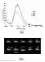 Fig. 02 - Nanocrystal nano-emulsion