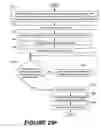 Fig. 102 - Methods of performing medical procedures that promote bone growth, methods of making compositions that promote bone growth, and apparatus for use in such methods