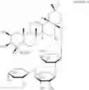 Fig. 02 - PHARMACEUTICAL COMPOSITION FOR PREVENTING OR TREATING HEPATITIS C, COMPRISING THE ROOTS EXTRACT OF PLATYCODON GRANDIFLORUM OR PLATYCODON GRANDIFLORUM SAPONIN COMPONENTS