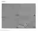 Fig. 04 - Hepatic progenitor cells and uses thereof