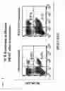 Fig. 09 - Therapeutically Useful Molecules