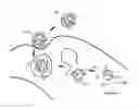 Fig. 01 - Methods for protease assisted protein delivery