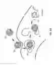 Fig. 06 - Methods for protease assisted protein delivery