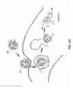 Fig. 07 - Methods for protease assisted protein delivery