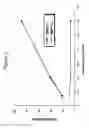 Fig. 05 - Antibodies to CCR2