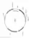 Fig. 07 - Antibodies to CCR2
