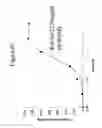 Fig. 09 - Antibodies to CCR2