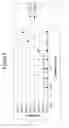 Fig. 11 - Antibodies to CCR2