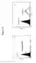 Fig. 12 - Antibodies to CCR2