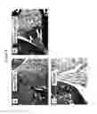 Fig. 06 - Immunomodulation of inflammatory conditions utilizing Follistatin-like Protein-1 and agents that bind thereto