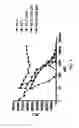Fig. 07 - Compositions and methods of use of immunotoxins comprising ranpirnase (Rap) show potent cytotoxic activity