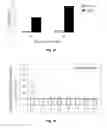 Fig. 08 - System for Modulating Expression of Hypothalmic Brain-Derived Neurotrophic Factor (BDNF)