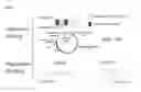 Fig. 03 - CANCER IMMUNOTHERAPY AND METHOD OF TREATMENT