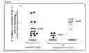 Fig. 08 - CANCER IMMUNOTHERAPY AND METHOD OF TREATMENT