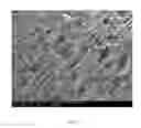Fig. 02 - CHITOSAN FOAM MEDICAL DEVICES AND METHODS