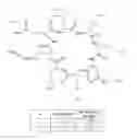 Fig. 01 - Biosurfactant composition produced by a new strain, uses and products thereof