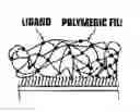 Fig. 01 - Carrier, process for producing same, bioreactor, and chip for surface plasmon resonance analysis