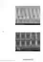 Fig. 06 - Patterned nanowires