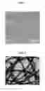 Fig. 03 - Silicon carbide nanofiber and fabrication method of silicon carbide nanofiber using emulsion spinning