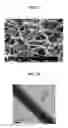 Fig. 10 - Silicon carbide nanofiber and fabrication method of silicon carbide nanofiber using emulsion spinning