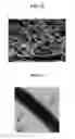 Fig. 12 - Silicon carbide nanofiber and fabrication method of silicon carbide nanofiber using emulsion spinning