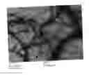 Fig. 01 - FIBER COMPOSITE