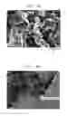 Fig. 07 - Negative active material and lithium battery