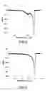 Fig. 06 - Positive active material for lithium secondary battery, and lithium secondary battery