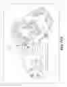 Fig. 35 - Self-contained biological assay apparatus, methods, and applications
