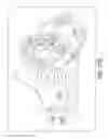 Fig. 41 - Self-contained biological assay apparatus, methods, and applications