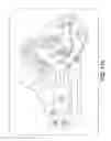 Fig. 45 - Self-contained biological assay apparatus, methods, and applications