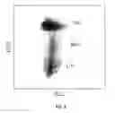 Fig. 09 - Method for hematology analysis