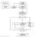Fig. 01 - Analysis of chemically crosslinked cellular samples