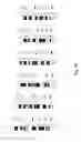 Fig. 07 - Method and apparatus for chromosome profiling
