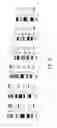 Fig. 08 - Method and apparatus for chromosome profiling